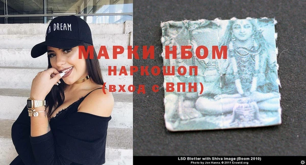 ПСИЛОЦИБИНОВЫЕ ГРИБЫ Абаза