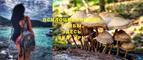 ГАЛЛЮЦИНОГЕННЫЕ ГРИБЫ Абинск