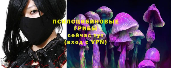 ГАЛЛЮЦИНОГЕННЫЕ ГРИБЫ Абинск