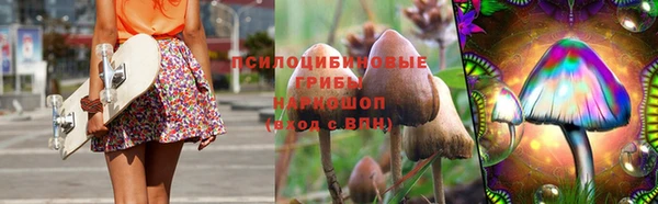 ПСИЛОЦИБИНОВЫЕ ГРИБЫ Абаза