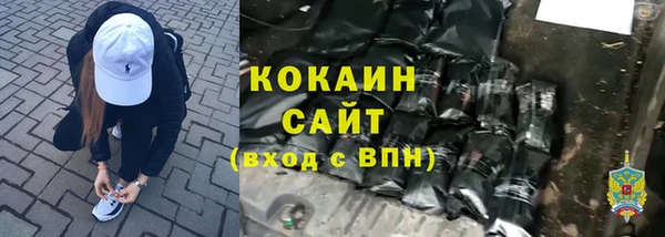 ПСИЛОЦИБИНОВЫЕ ГРИБЫ Абаза